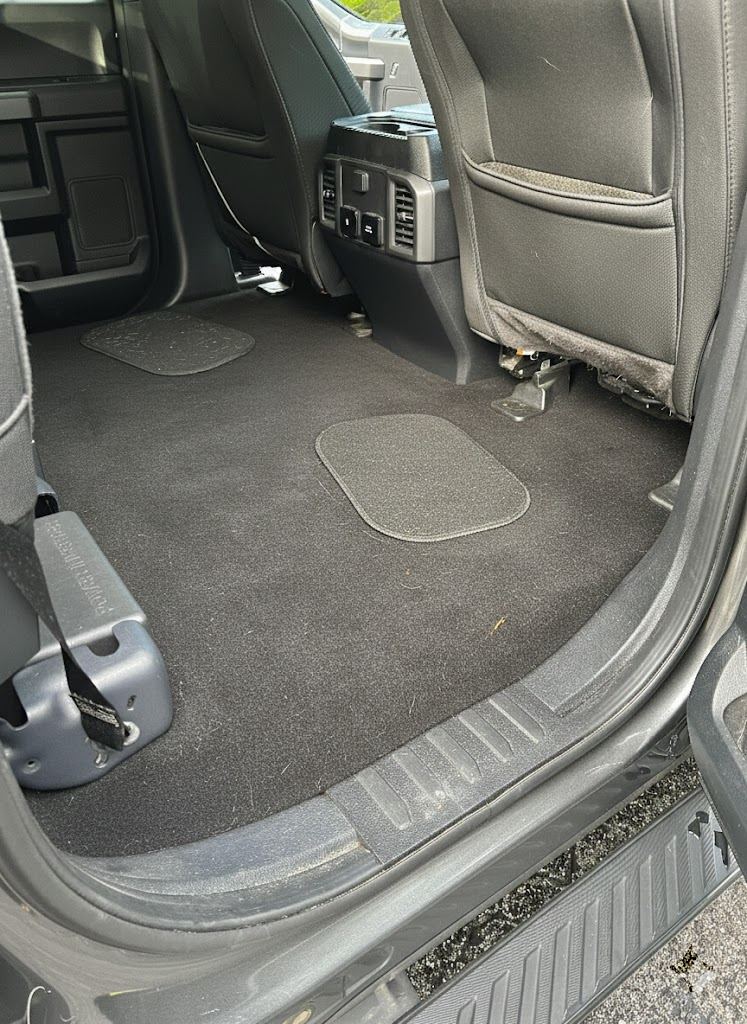 After Pet Hair Removal