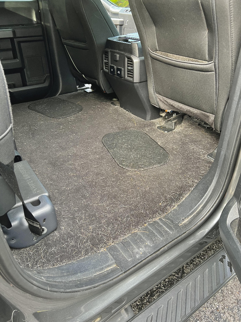 Before Pet Hair Removal